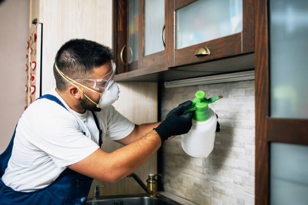 Best Best Pest Control Companies  in Branson, MO