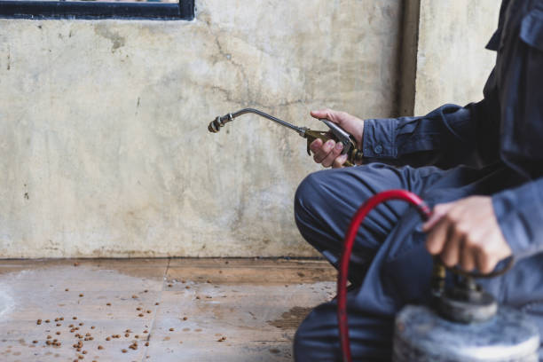 Best Mosquito Control Services  in Branson, MO